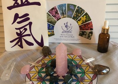 Wellness Services